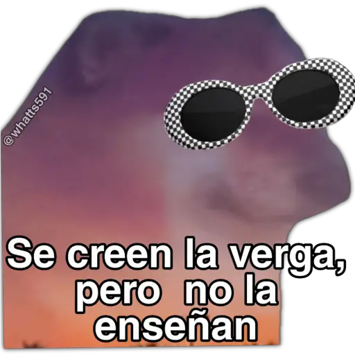 Hipocresía Cheems 2.0 
