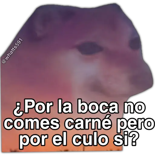 Hipocresía Cheems 2.0 