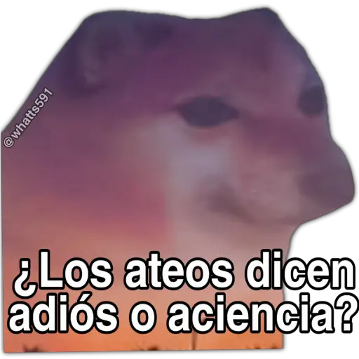 Hipocresía Cheems 2.0  preview