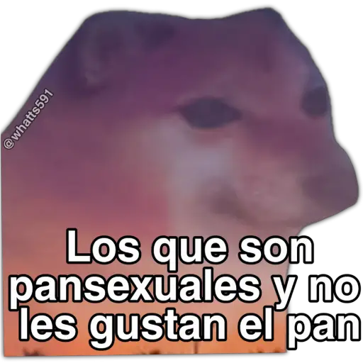 Hipocresía Cheems 2.0 
