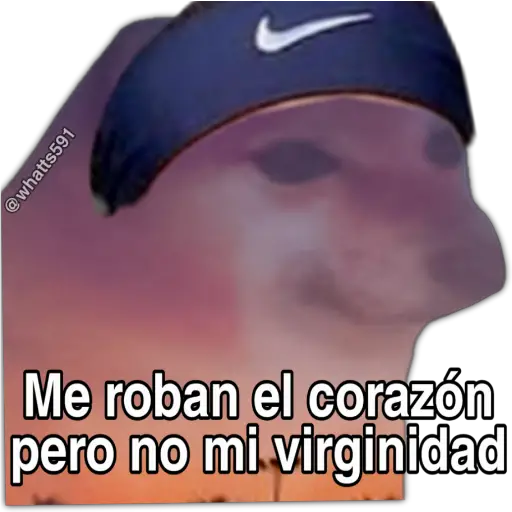 Hipocresía Cheems 2.0 