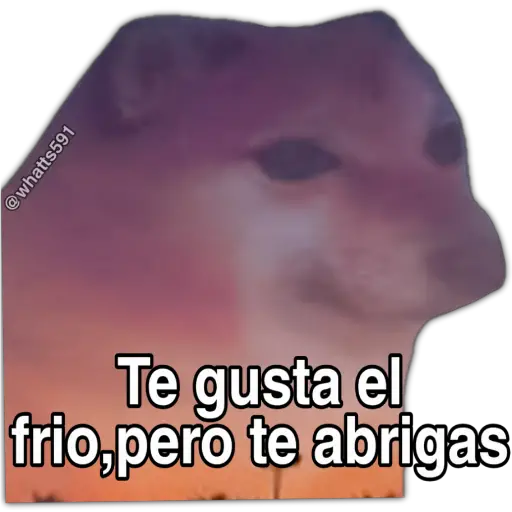 Hipocresía Cheems 2.0 
