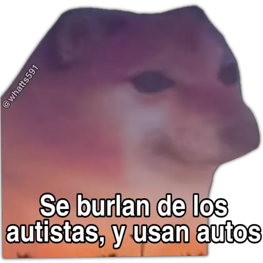 Hipocresía Cheems 2.0 