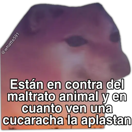 Hipocresía Cheems 2.0 