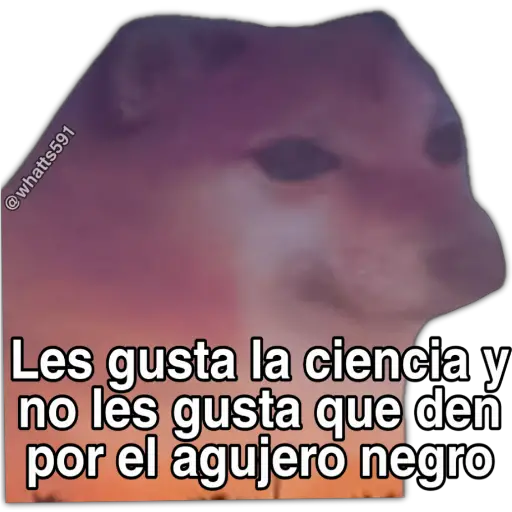 Hipocresía Cheems 2.0 