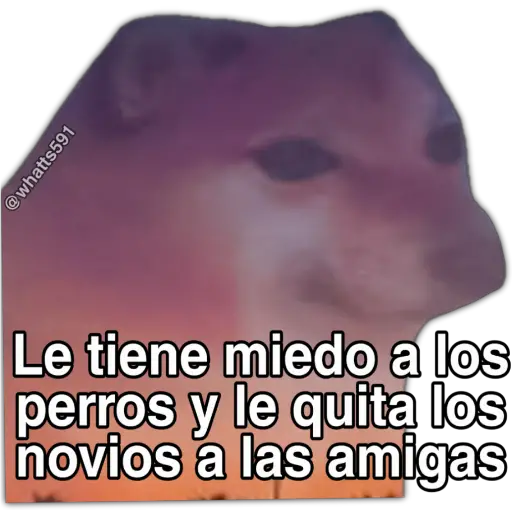 Hipocresía Cheems 2.0 