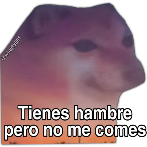 Hipocresía Cheems 2.0 