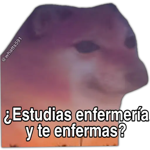 Hipocresía Cheems 2.0 