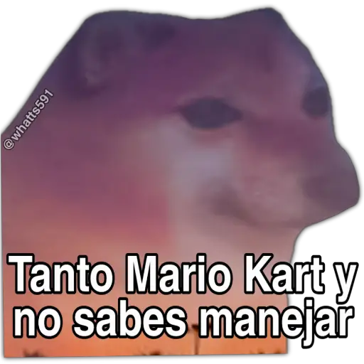 Hipocresía Cheems 