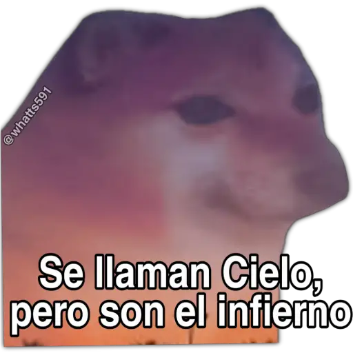 Hipocresía Cheems 