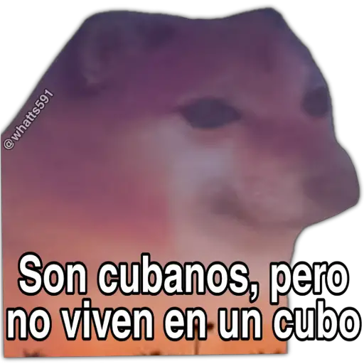 Hipocresía Cheems 