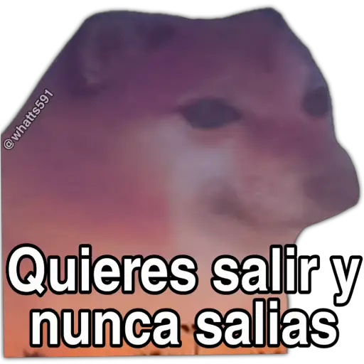 Hipocresía Cheems 
