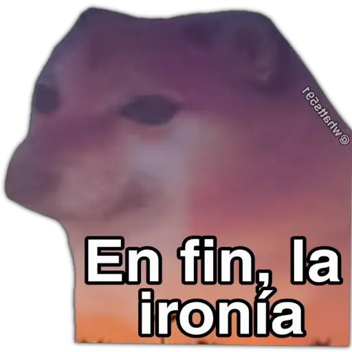 Hipocresía Cheems 