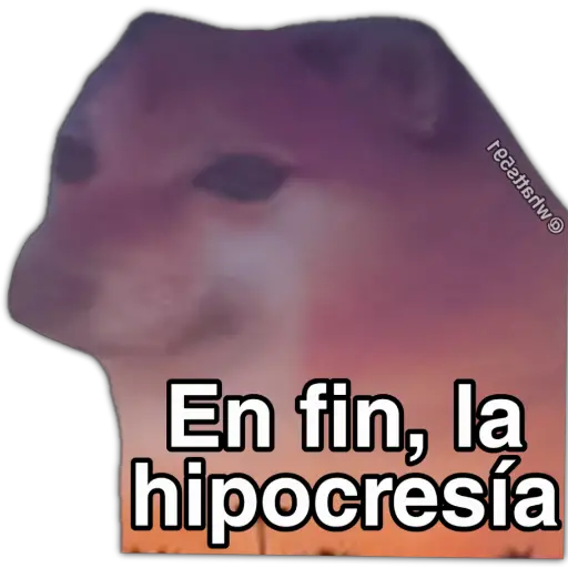 Hipocresía Cheems 