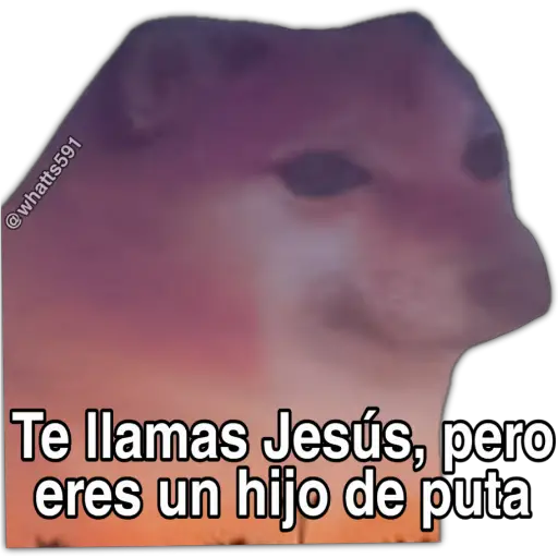 Hipocresía Cheems 