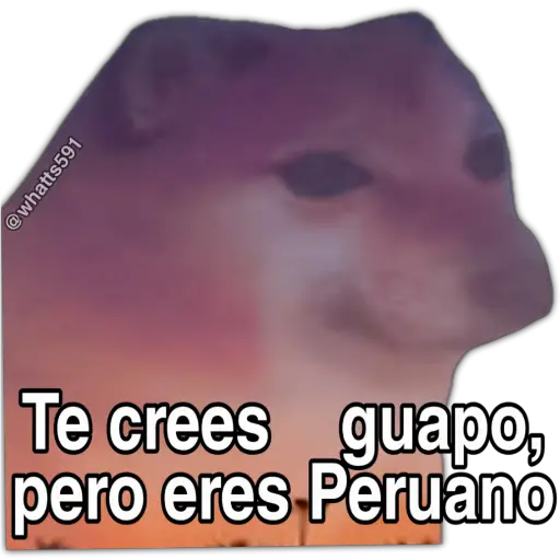 Hipocresía Cheems 