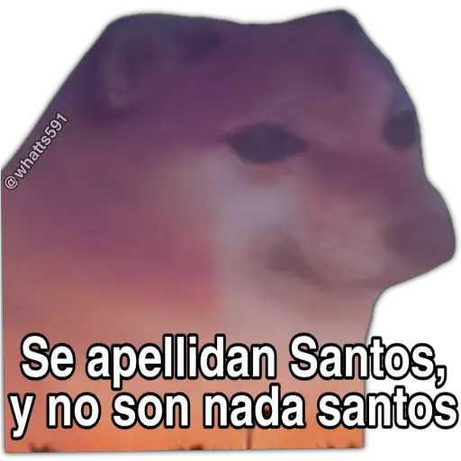 Hipocresía Cheems 