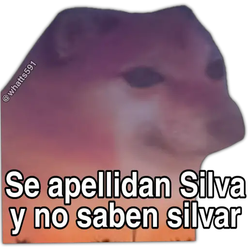 Hipocresía Cheems 