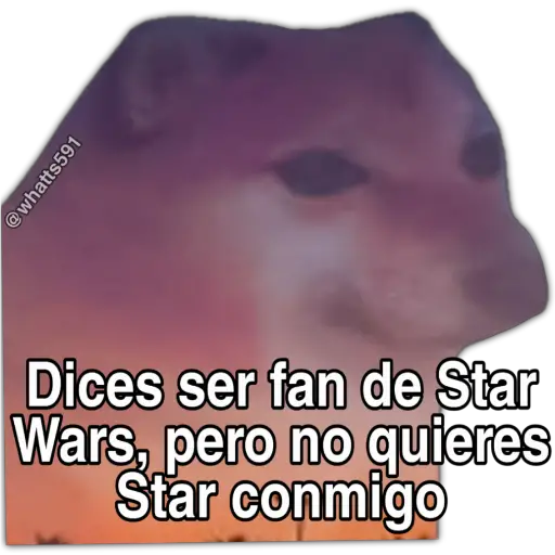 Hipocresía Cheems 