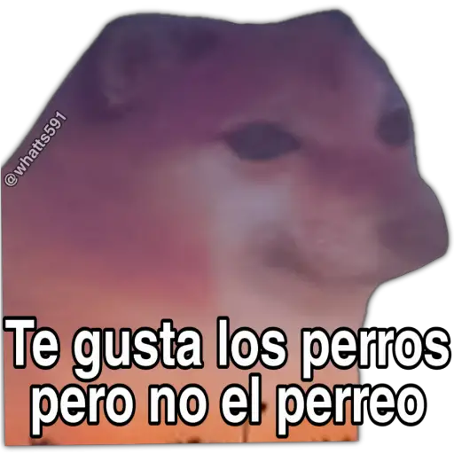 Hipocresía Cheems 