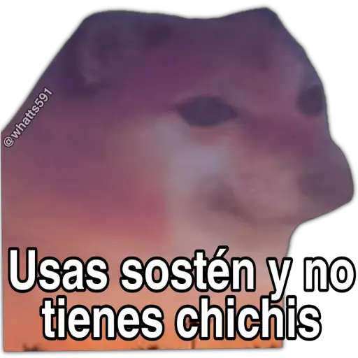 Hipocresía Cheems 