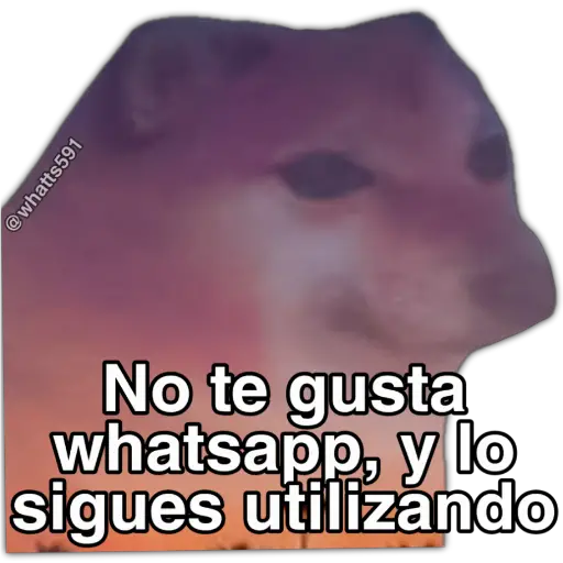 Hipocresía Cheems 