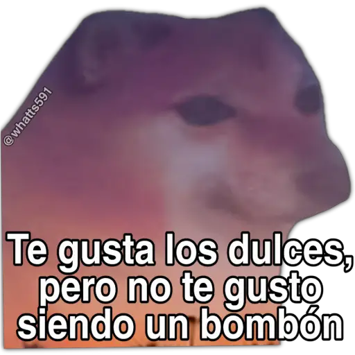 Hipocresía Cheems 