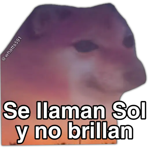 Hipocresía Cheems 