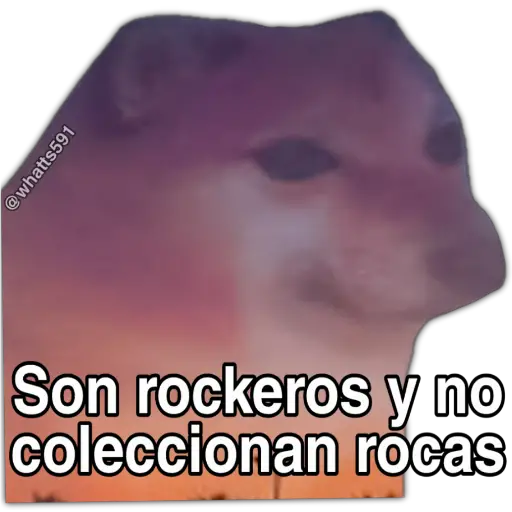 Hipocresía Cheems  preview