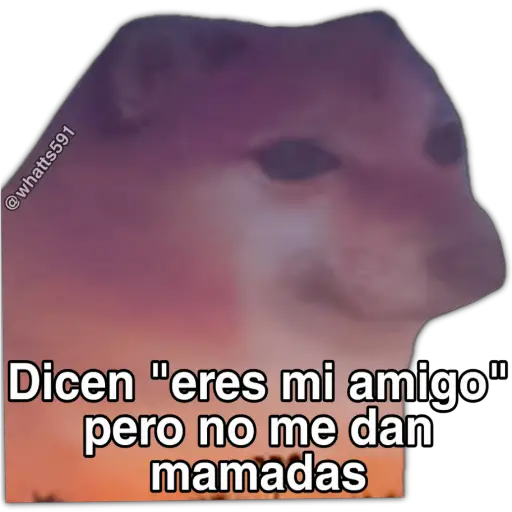 Hipocresía Cheems 