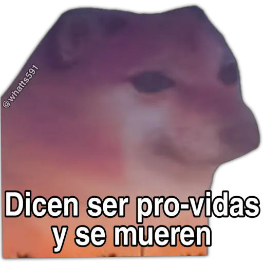 Hipocresía Cheems  preview