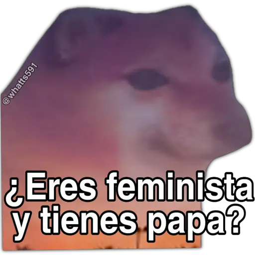 Hipocresía Cheems 