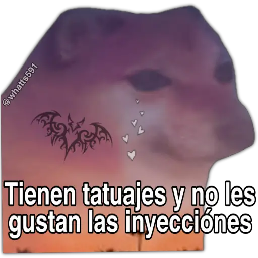 Hipocresía Cheems 