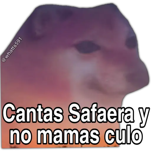 Hipocresía Cheems 