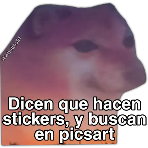 Hipocresía Cheems 