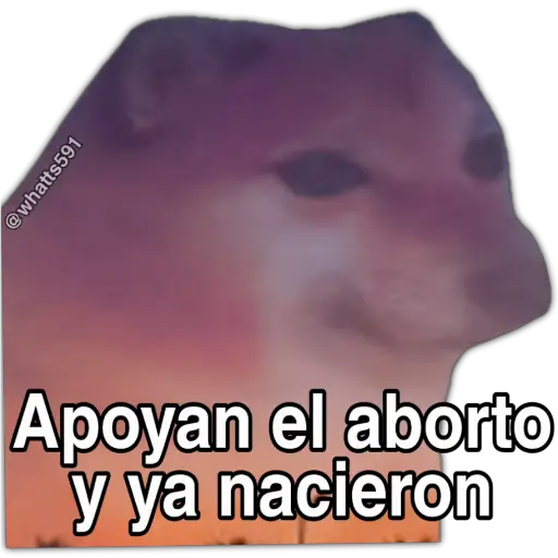 Hipocresía Cheems 
