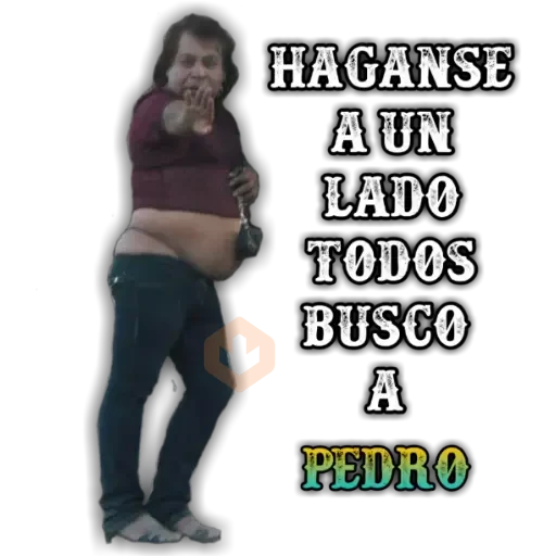 Te Buscan 😂 sticker 12