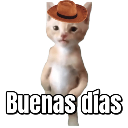 Pana Miguel 