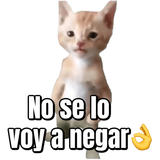Pana Miguel 
