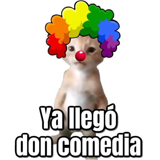 Pana Miguel 