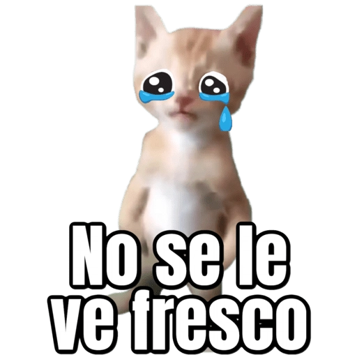 Pana Miguel 