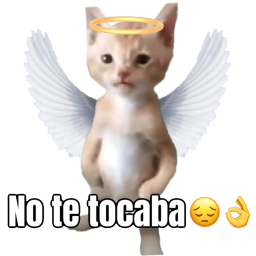 Pana Miguel 