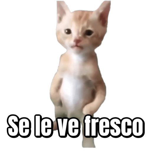 Pana Miguel 