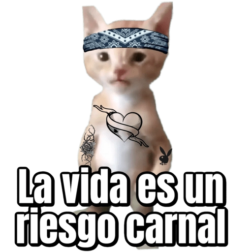 Pana Miguel 