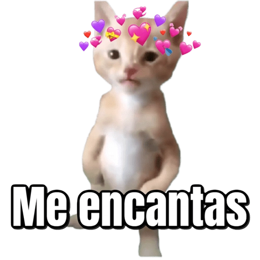 Pana Miguel 