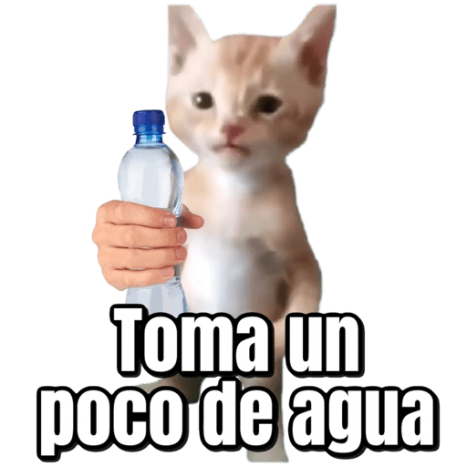 Pana Miguel 
