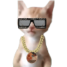 tray-icon
