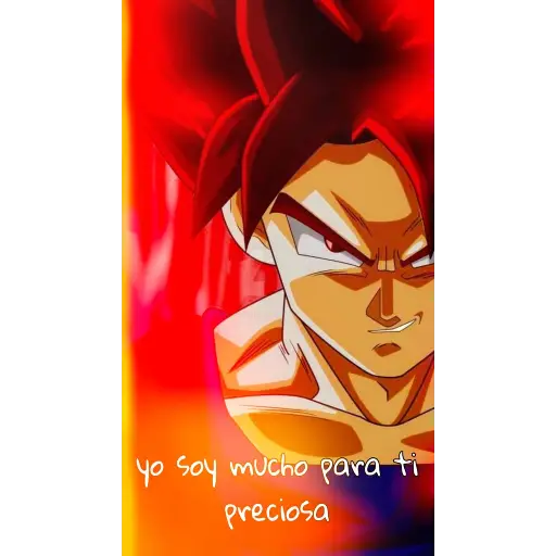 Dragón Ball z parte 3 