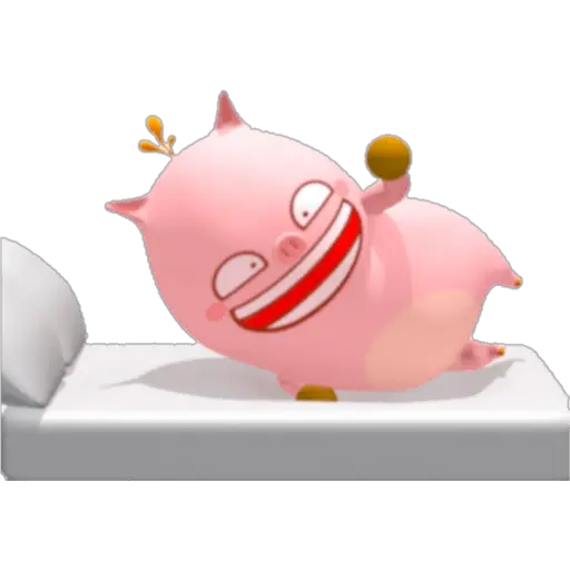 °• PIGIZZANG •° 