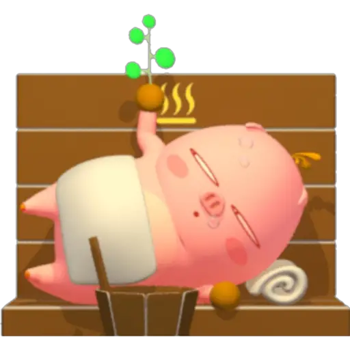 °• PIGIZZANG •° 